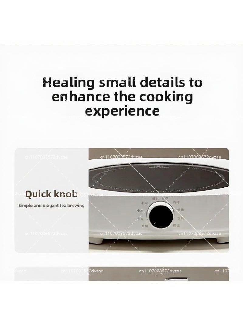 Cuisinière électrique en céram - Induction Cooktop Portable avis et prix
