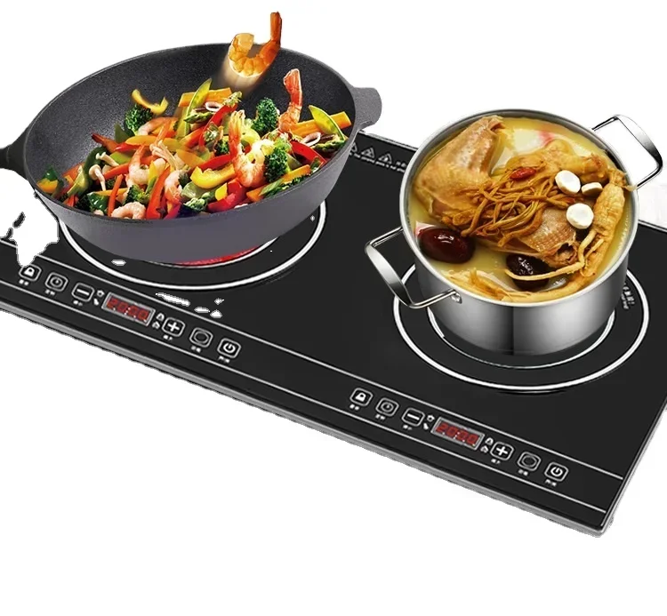 Double cuisinière électrique P - Induction Cooktop Portable avis et prix